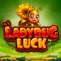 Ladybug Luck